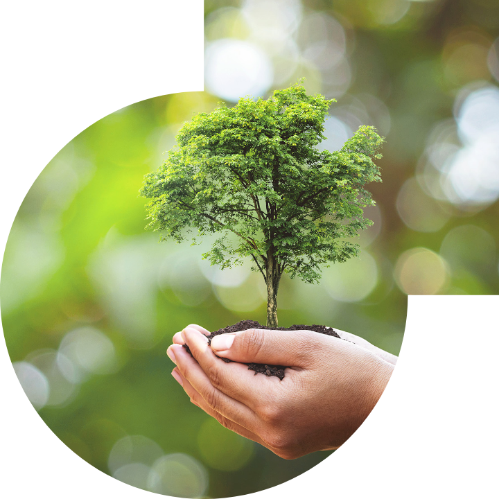 关怀人类、文化、环境与社会